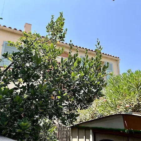 Maison Et Jardin Pres Des Plages